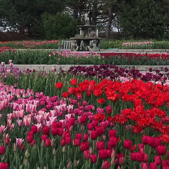 Meet your Posher, Courtney - Picture 1 of 1